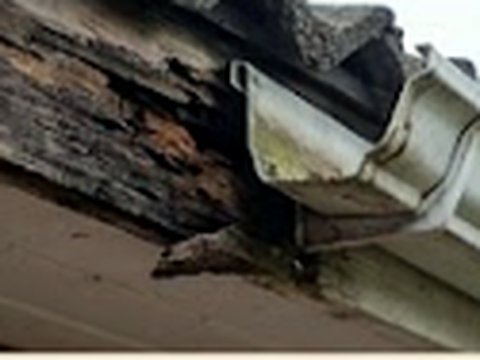 Rotten fascias and soffits from water damage