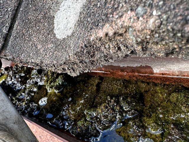 Gutter before cleaning, job 1