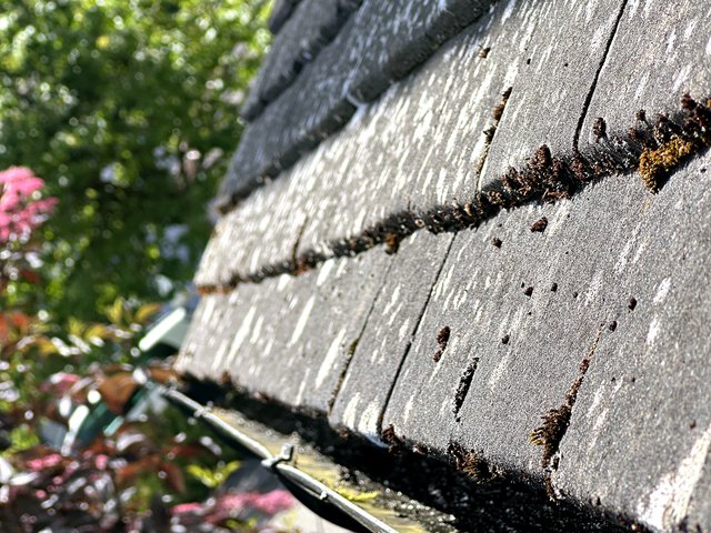 Gutter after cleaning, job 3
